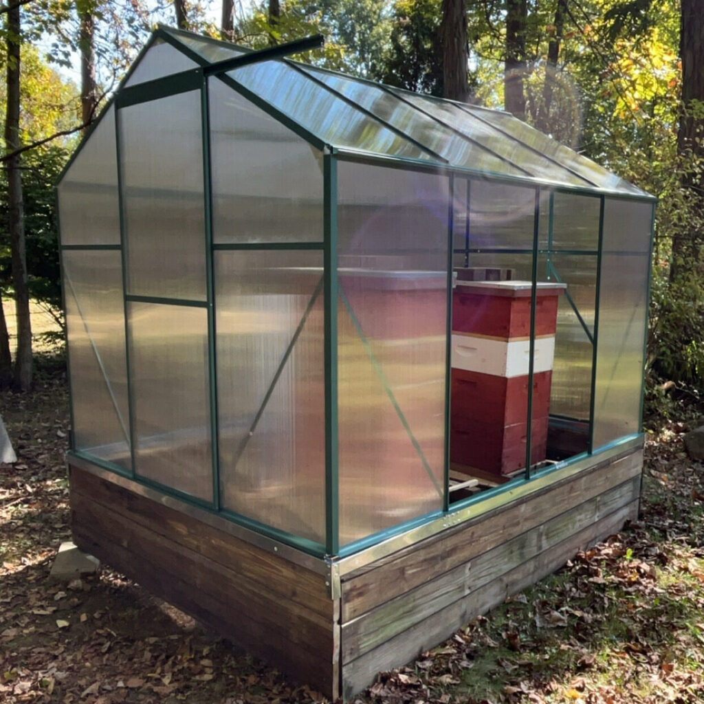 Small Greenhouse on wooden base made of 3 boards, surrounded by leaves